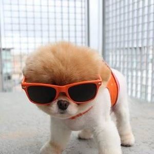 Meet your Posher, Katherine